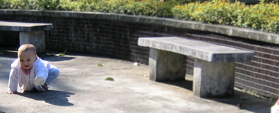 照顧嬰幼兒保健精油配方