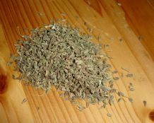 大茴香(洋茴芹)