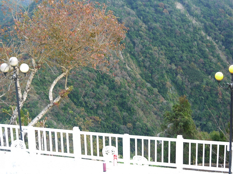 冬天照顧家裡老人家