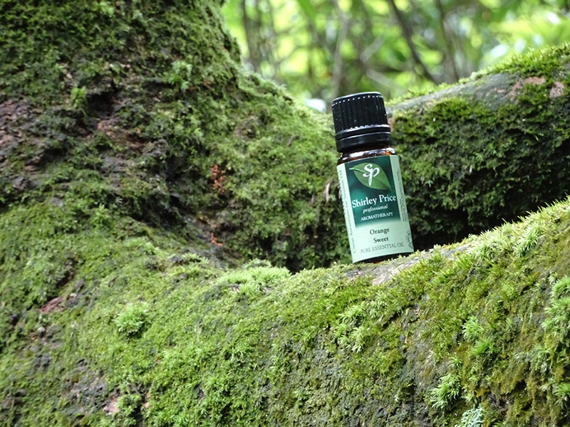 夏天防蚊大作戰 自製除蚊油