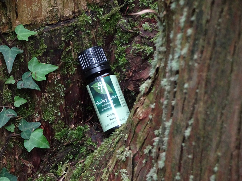 Clary Sage 快樂鼠尾草純質精油