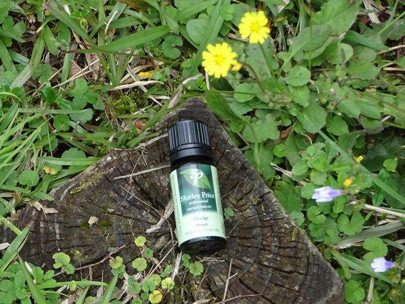 英國Shirley Price純質精油 好好用50種自製入門精油配方之七