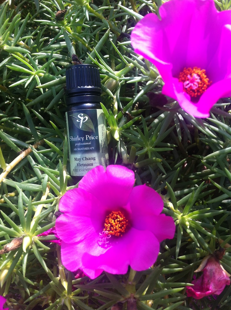 Manuka 松紅梅精油