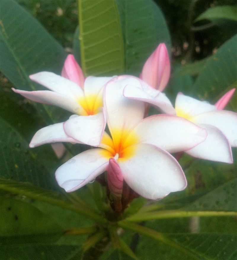 產後媽媽保養護理