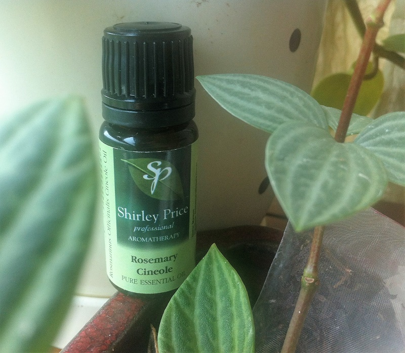 迷迭香Rosemary純質精油