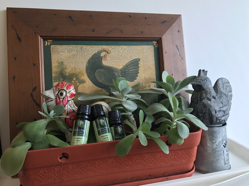 純質精油解宿醉