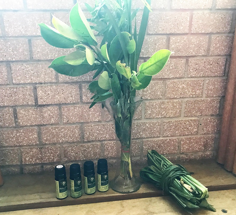 正端午 艾草 芙蓉草 跟香茅除穢 避邪 保平安