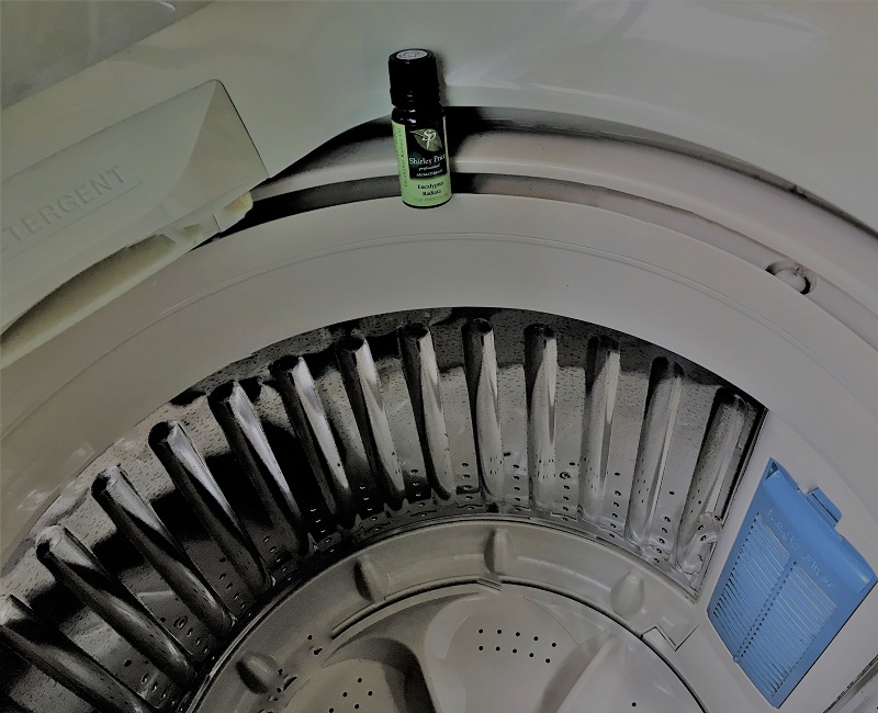 梅雨季 尤加利純質精油除螨