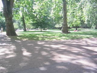 讓精油說故事-Spikenard穗甘松