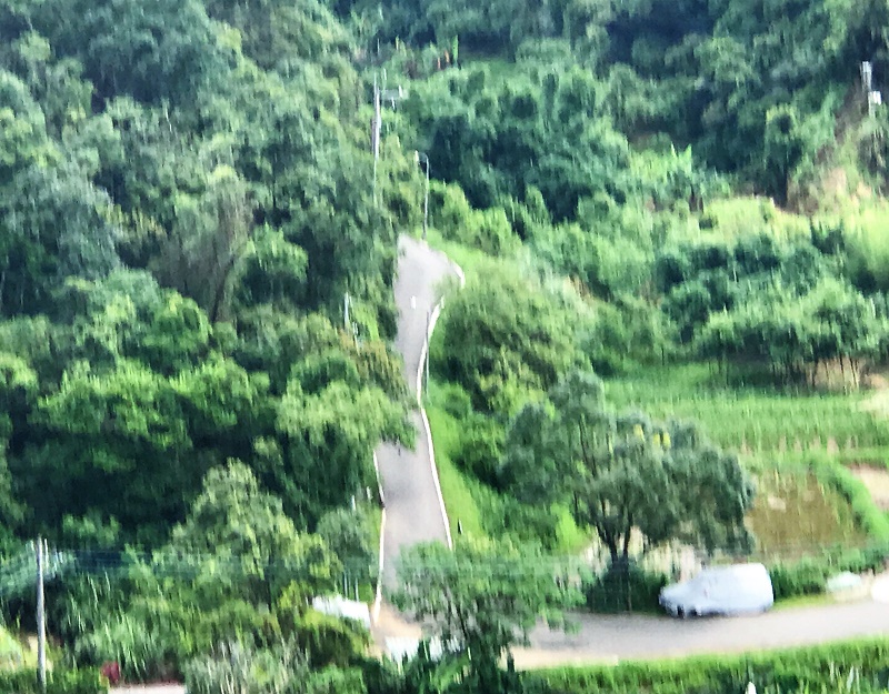 純質精油與妳的情緒