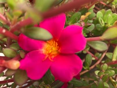 舒放妳的緊張壓力