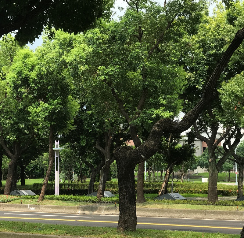 黃帝內經養生的原則, 秋天要養肺