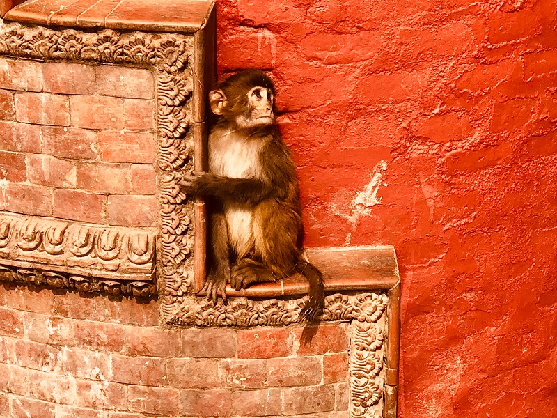 自己幫助自己的"10大身心平衡之道"!