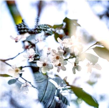 王后與她的四個丈夫