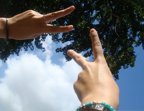 純質精油與你的正能量