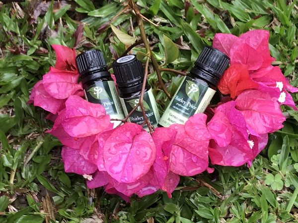 大自然的保養品