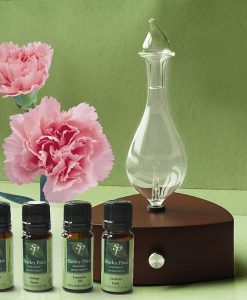 母親節特惠組合