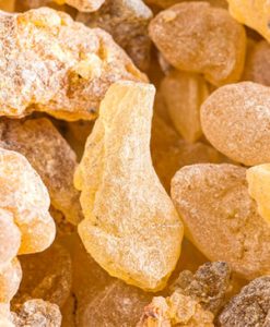 樹酯與根Resins and roots