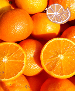 果實柑橘Citruses