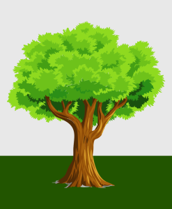 樹木Trees and woods