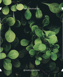 草 種籽 灌木Grasses, Seed and shrubs